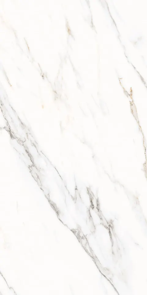 ALABASTER WHITE view 5